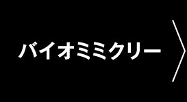 バイオミミクリー