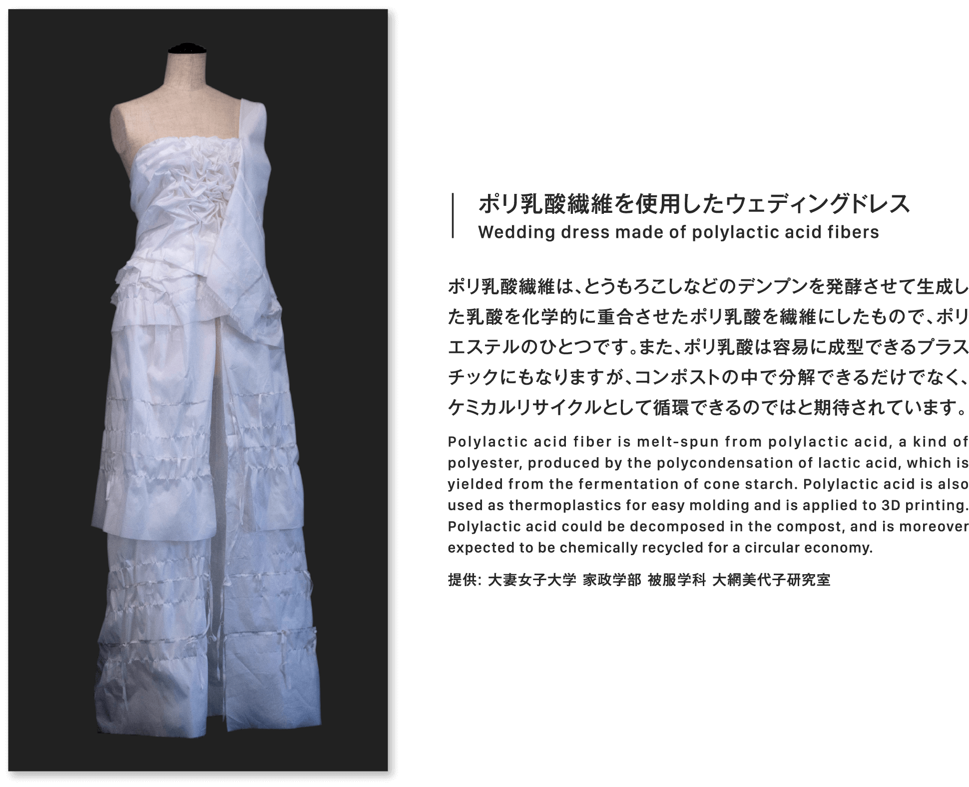 ポリ乳酸繊維を使用したウェディングドレスWedding dress made of polylactic acid fibersポリ乳酸繊維は、とうもろこしなどのデンプンを発酵させて生成した乳酸を化学的に重合させたポリ乳酸を繊維にしたもので、ポリエステルのひとつです。また、ポリ乳酸は容易に成型できるプラスチックにもなりますが、コンポストの中で分解できるだけでなく、ケミカルリサイクルとして循環できるのではと期待されています。Polylactic acid fiber is melt-spun from polylactic acid, a kind of polyester, produced by the polycondensation of lactic acid, which is yielded from the fermentation of cone starch. Polylactic acid is also used as thermoplastics for easy molding and is applied to 3D printing. Polylactic acid could be decomposed in the compost, and is moreover expected to be chemically recycled for a circular economy.提供: 大妻女子大学 家政学部 被服学科 大網美代子研究室