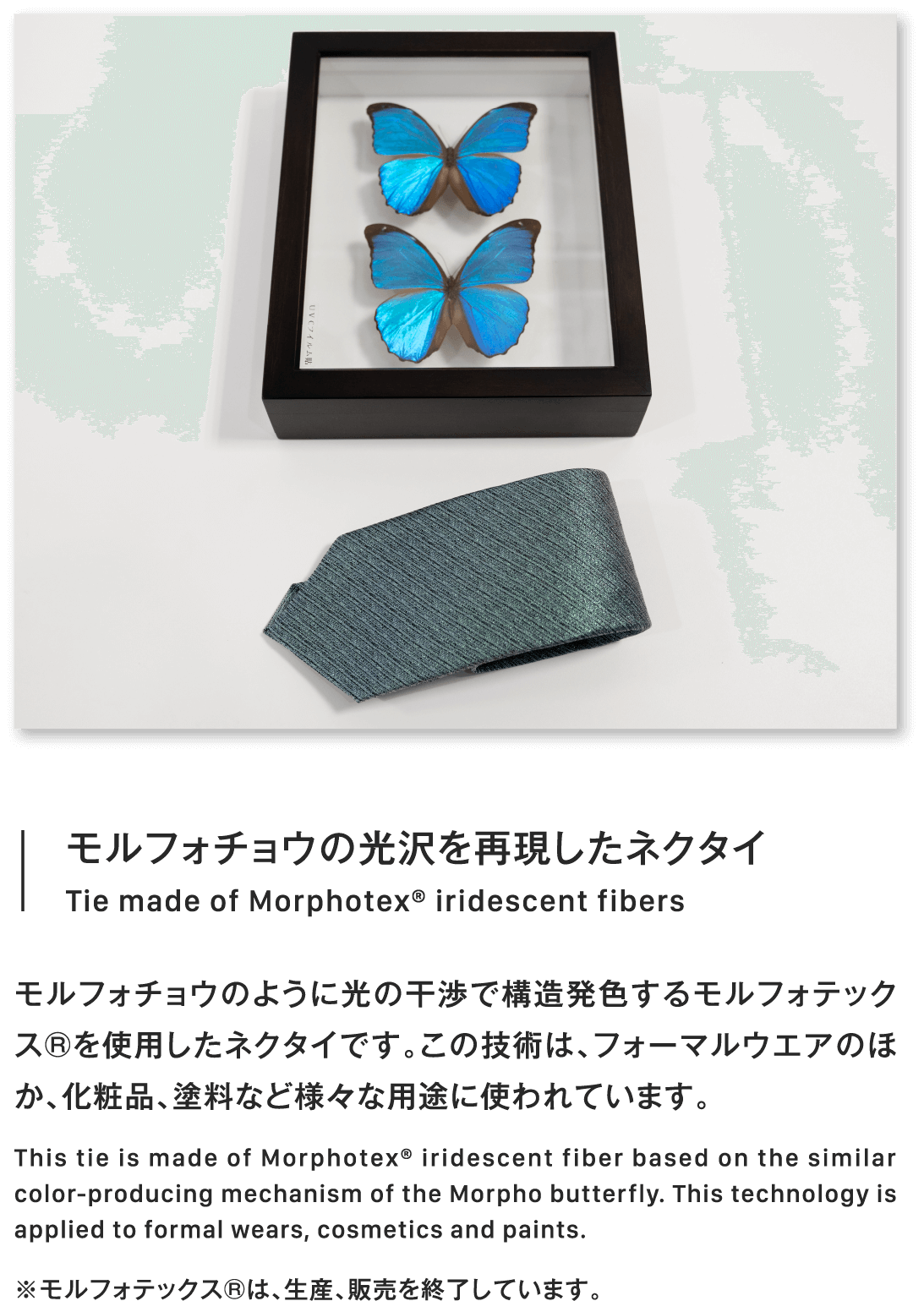 モルフォチョウの光沢を再現したネクタイTie made of Morphotex® iridescent fibersモルフォチョウのように光の干渉で構造発色するモルフォテックス®を使用したネクタイです。この技術は、フォーマルウエアのほか、化粧品、塗料など様々な用途に使われています。This tie is made of Morphotex® iridescent fiber based on the similar color-producing mechanism of the Morpho butterfly. This technology is applied to formal wears, cosmetics and paints.※モルフォテックス®は、生産、販売を終了しています。