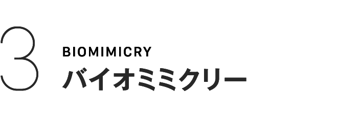 3BIOMIMICRYバイオミミクリー